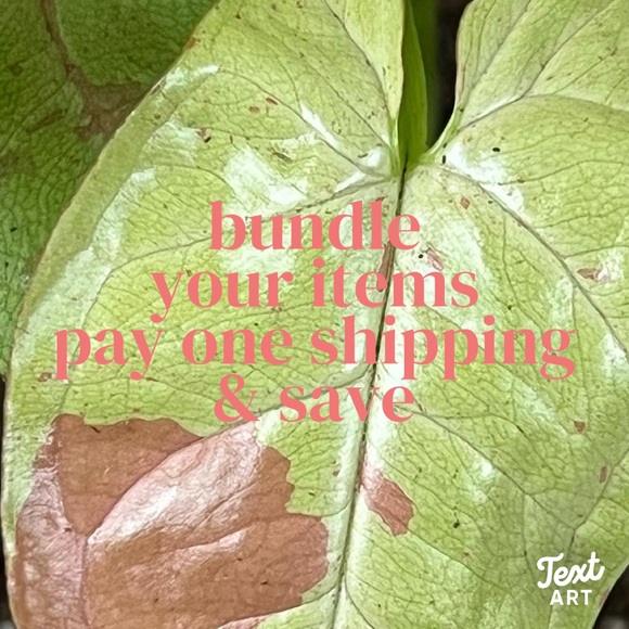 A BUNDLE = 2 or more items - Picture 3 of 16